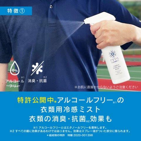 FT衣類用冷感ミスト300mL R1 6525008 フリーズテック