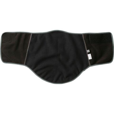 取寄 ゴールドウイン ゴアテックスインフィニアム ネックウォーマー チャコールグレー(CH) Fサイズ GSM29954