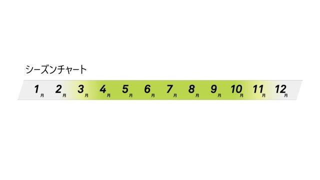 GLOBE EVOグローブ ブラック Mサイズ ファイブ