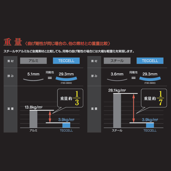 TRV063 メンズ テクセル チェストプロテクターRSタイチ CE規格LEVEL2 軽量