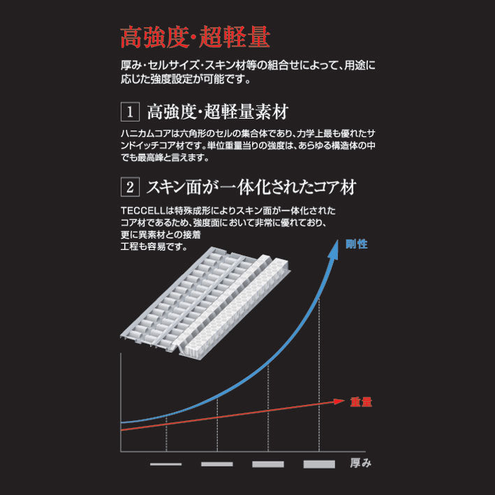 TRV063 メンズ テクセル チェストプロテクターRSタイチ CE規格LEVEL2 軽量